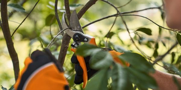 Stihl_Hand_Tools